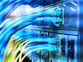 鱼友微信交流群